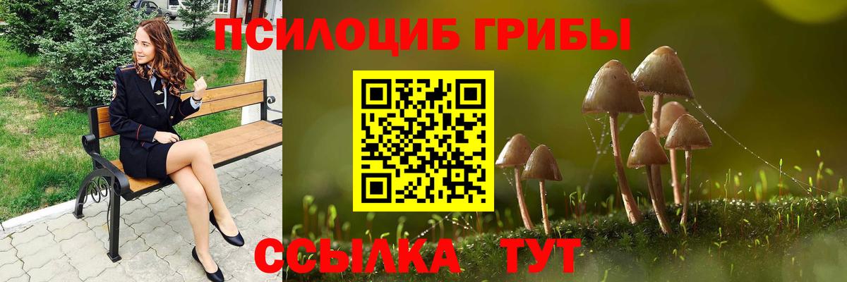 Галлюциногенные грибы Cubensis  Вход с VPN  сколько стоит  Видное 